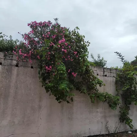 Apartamento Le Clos Des Coquelicots *