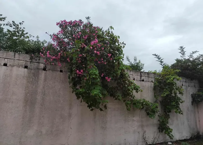 아파트 Le Clos Des Coquelicots *